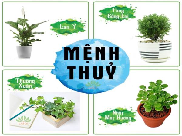 Đặc Điểm Người Mệnh Thủy Trong Phong Thủy