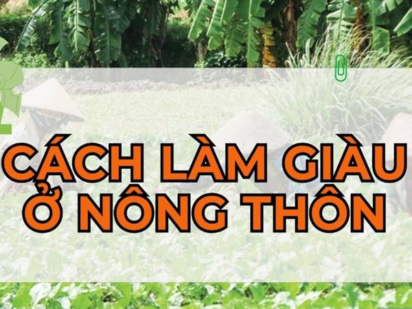 cách làm giàu ở nông thôn 