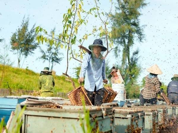 Làm giàu ở nông thôn miền núi bí quyết khởi nghiệp thành công  1